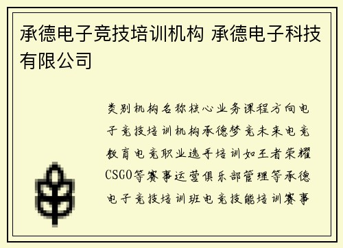 承德电子竞技培训机构 承德电子科技有限公司